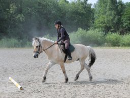 img_3460_web
